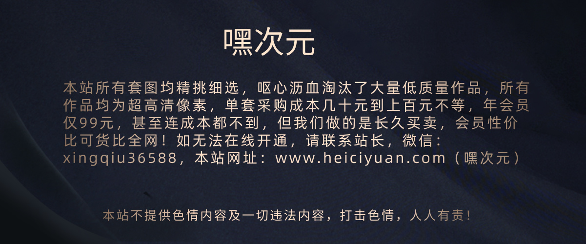 幻灯片-嘿次元